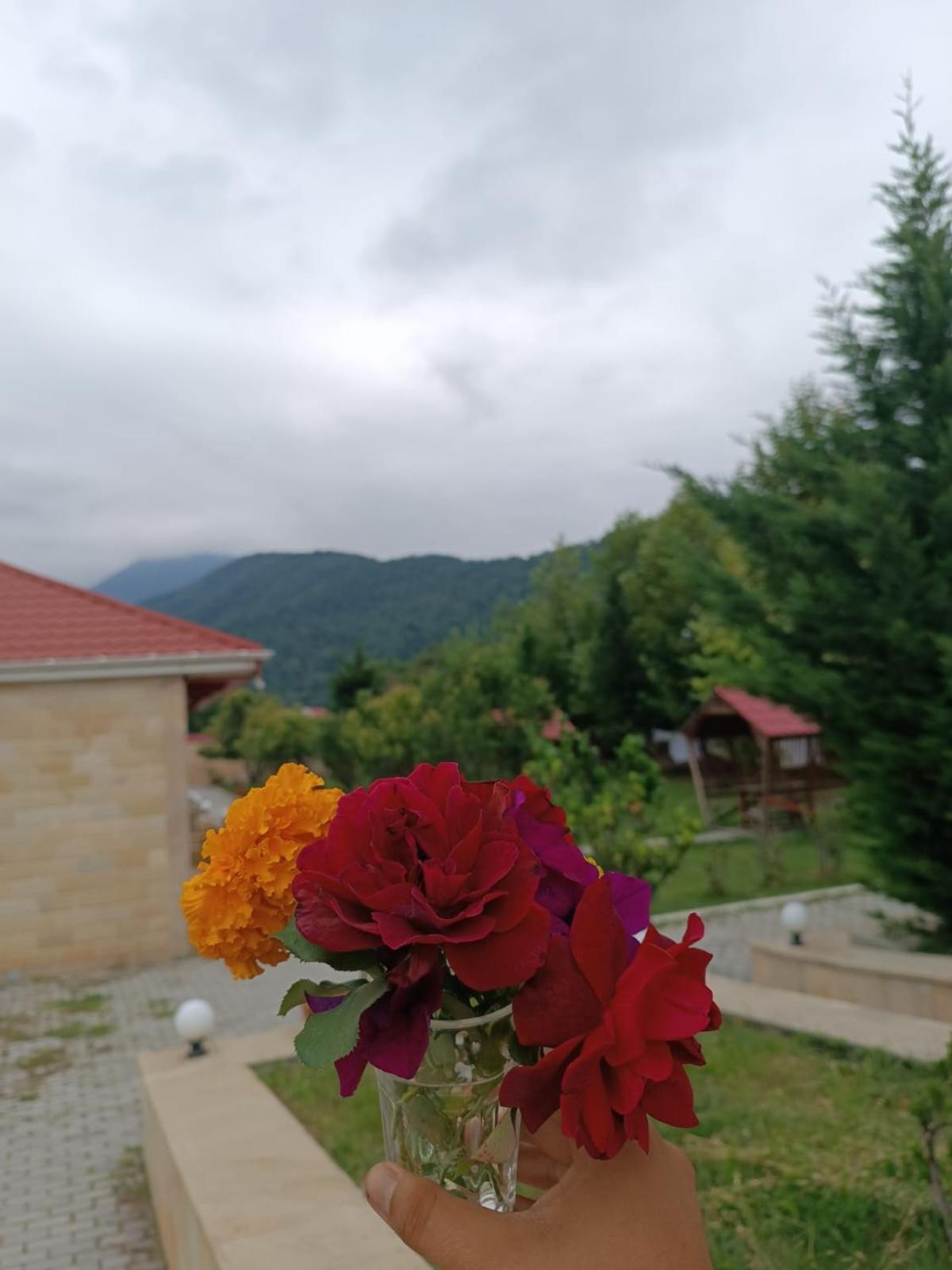 Gabala Bliss Inn Hotel And Restaurant Dış mekan fotoğraf