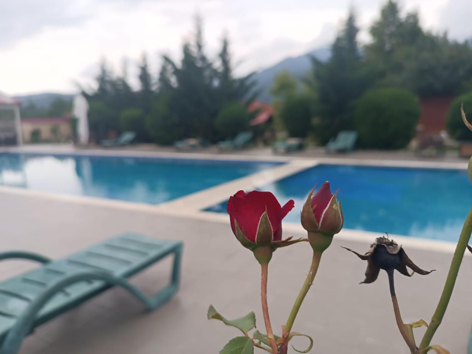 Gabala Bliss Inn Hotel And Restaurant Dış mekan fotoğraf