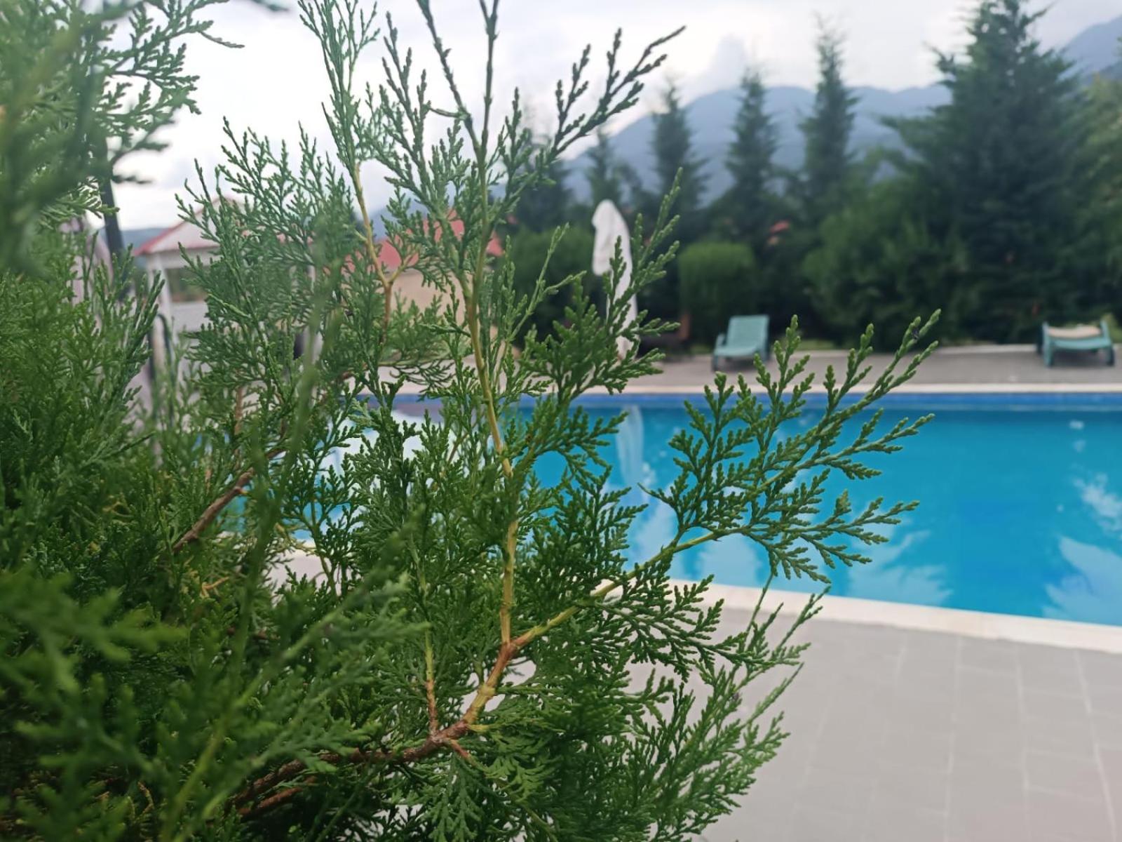 Gabala Bliss Inn Hotel And Restaurant Dış mekan fotoğraf