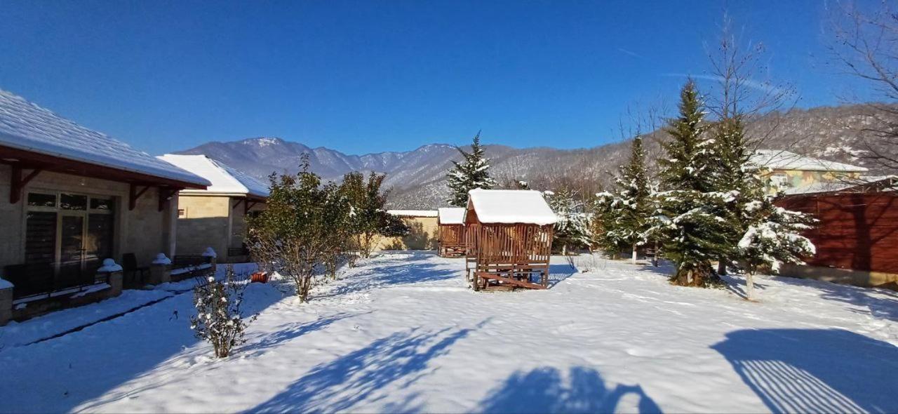 Gabala Bliss Inn Hotel And Restaurant Dış mekan fotoğraf